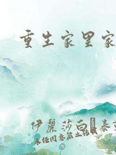 重生家里家外