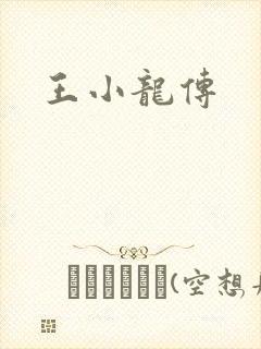王小龙传