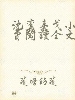 沈鸾秦戈小说免费阅读全文