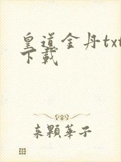 皇道金丹txt下载