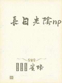 长日光阴np