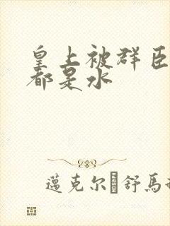 皇上被群臣干的都是水