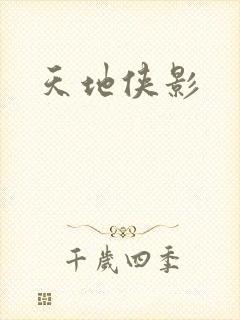 天地侠影