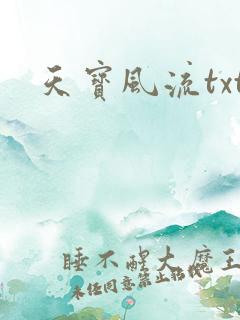 天宝风流txt