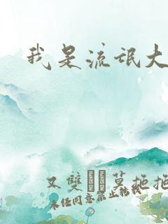 我是流氓大律师