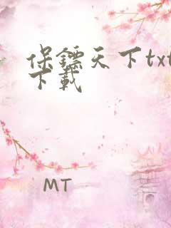 保镖天下txt下载