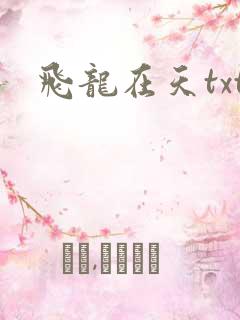 飞龙在天txt