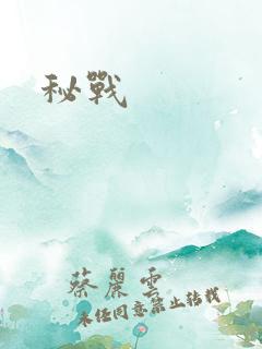 秘战