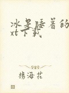 冰是睡着的水txt下载