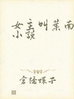 女主叫叶南初的小说