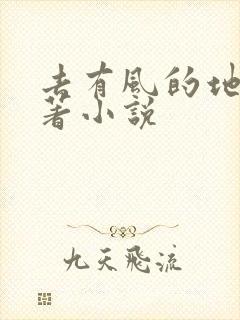 去有风的地方原著小说