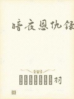暗夜恩仇录