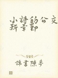 小诗的公交车最新章节