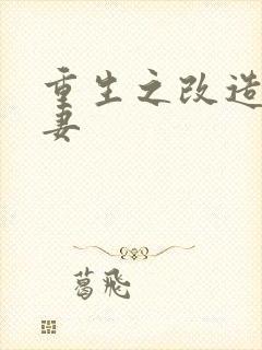 重生之改造糟糠妻