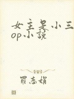 女主是小三的pop小说