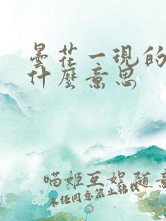 昙花一现的现是什么意思