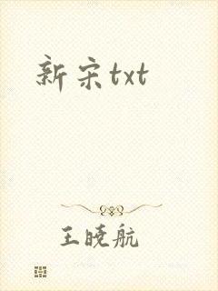 新宋txt