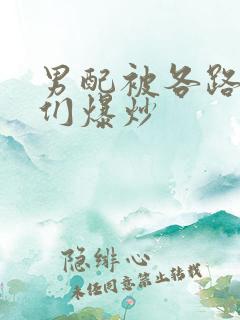 男配被各路大佬们爆炒