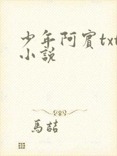 少年阿宾txt小说