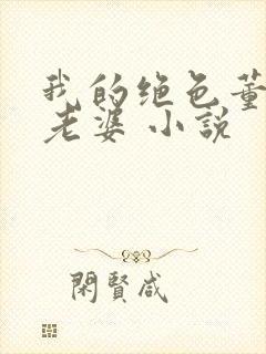 我的绝色董事长老婆 小说