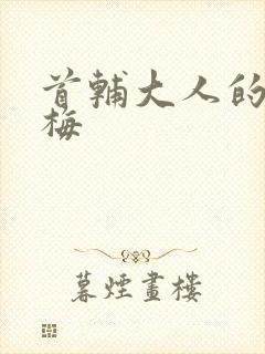 首辅大人的小青梅