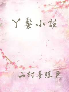 丫鬟小说