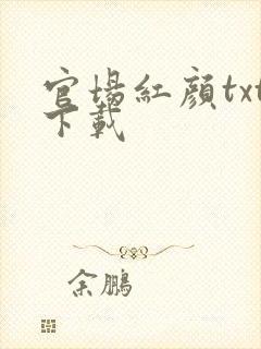 官场红颜txt下载