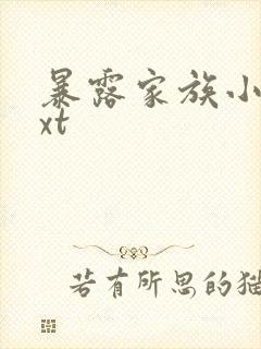 暴露家族小说txt