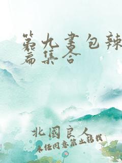 第九书包辣肉短篇集合