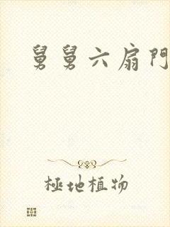 舅舅六扇门