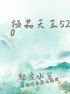 极品天王5200