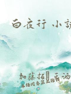 白夜行 小说