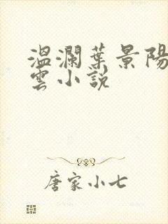 温澜叶景阳温云云小说