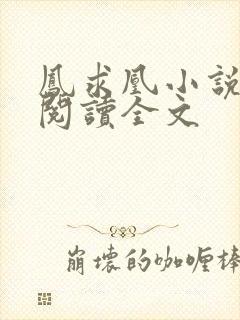 凤求凰小说免费阅读全文