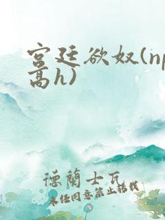 宫廷欲奴(np高h)