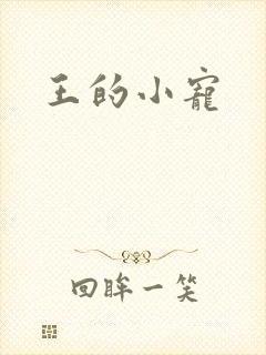 王的小宠