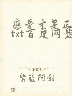 恋爱才是正经事txt百度网盘