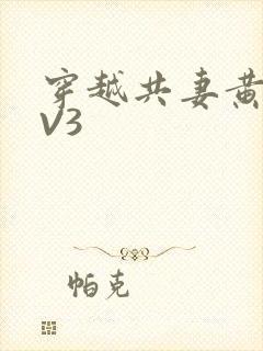 穿越共妻黄暴1V3