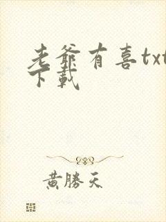老爷有喜txt下载