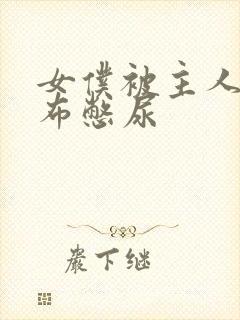 女仆被主人用胶布憋尿