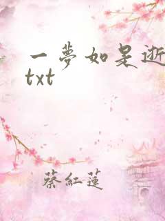 一梦如是逝水长txt