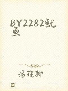 BY2282鱿鱼