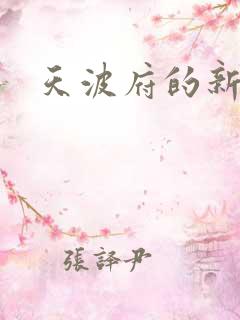 天波府的新姑爷
