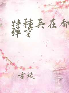 特种兵在都市无弹窗