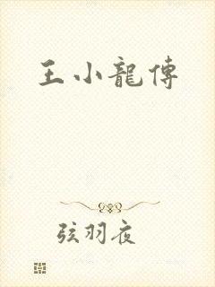 王小龙传