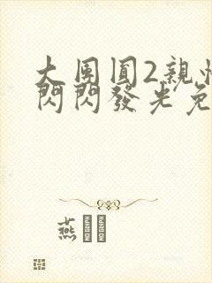 大团圆2亲情会闪闪发光免费