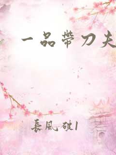 一品带刀夫人
