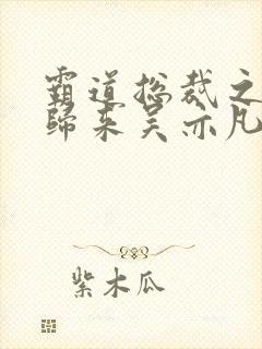 霸道总裁之出狱归来吴亦凡