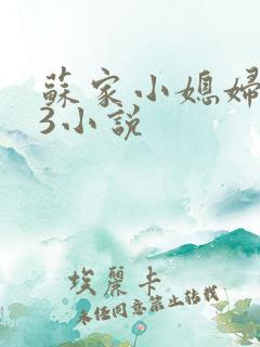 苏家小媳妇1V3小说