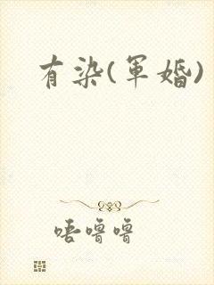有染(军婚)